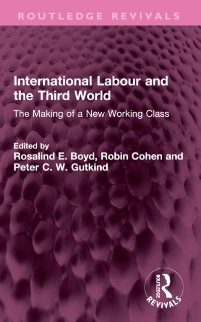 International Labour and the Third World - The Making of a New Working Class