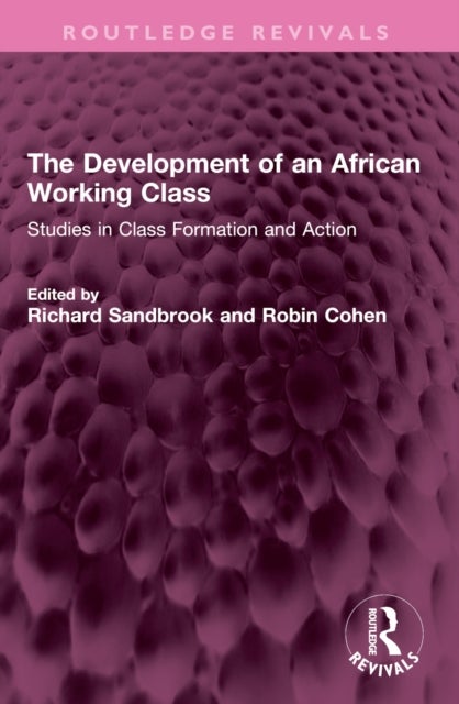 The Development of an African Working Class - Studies in Class Formation and Action