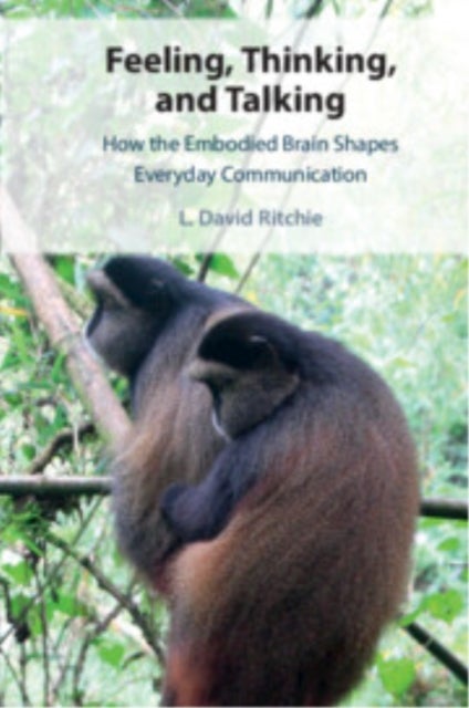 Feeling, Thinking and Talking - How the Embodied Brain Shapes Everyday Communication