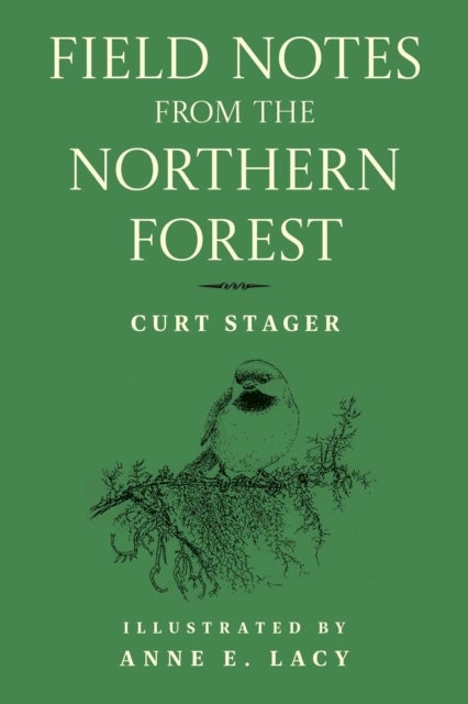 Field Notes from the Northern Forest