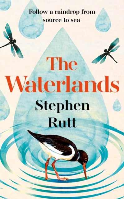 The Waterlands - Follow a Raindrop from Source to Sea