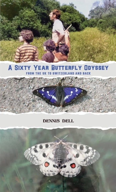 A Sixty Year Butterfly Odyssey - From the UK to Switzerland and Back