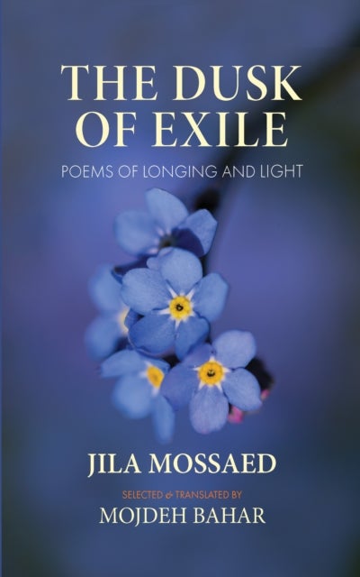 Dusk of Exile - Poems of Longing and Light