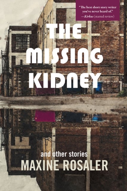 The Missing Kidney and other stories - And Other Stories
