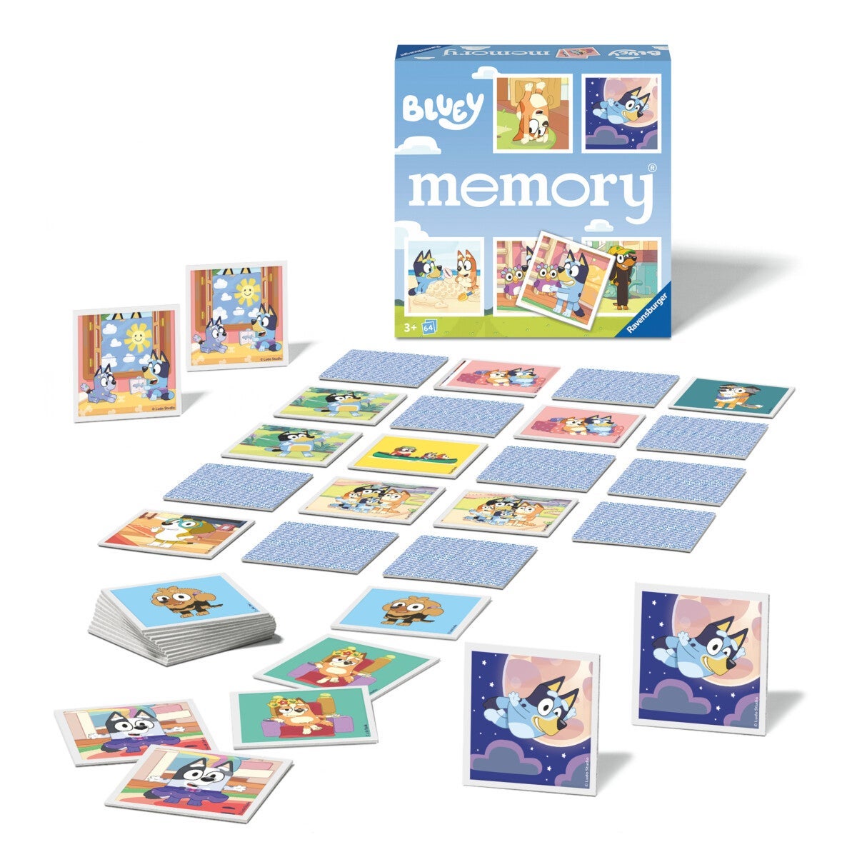 Spill Bluey Memory