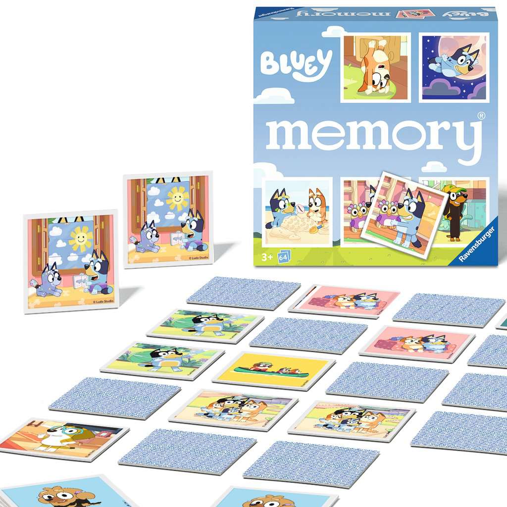 Spill Bluey Memory