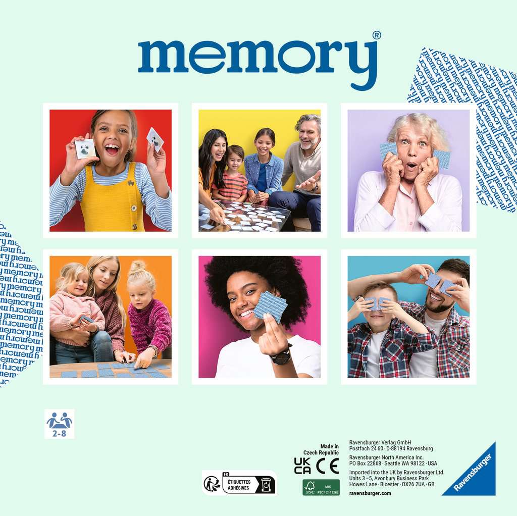 Spill Bluey Memory