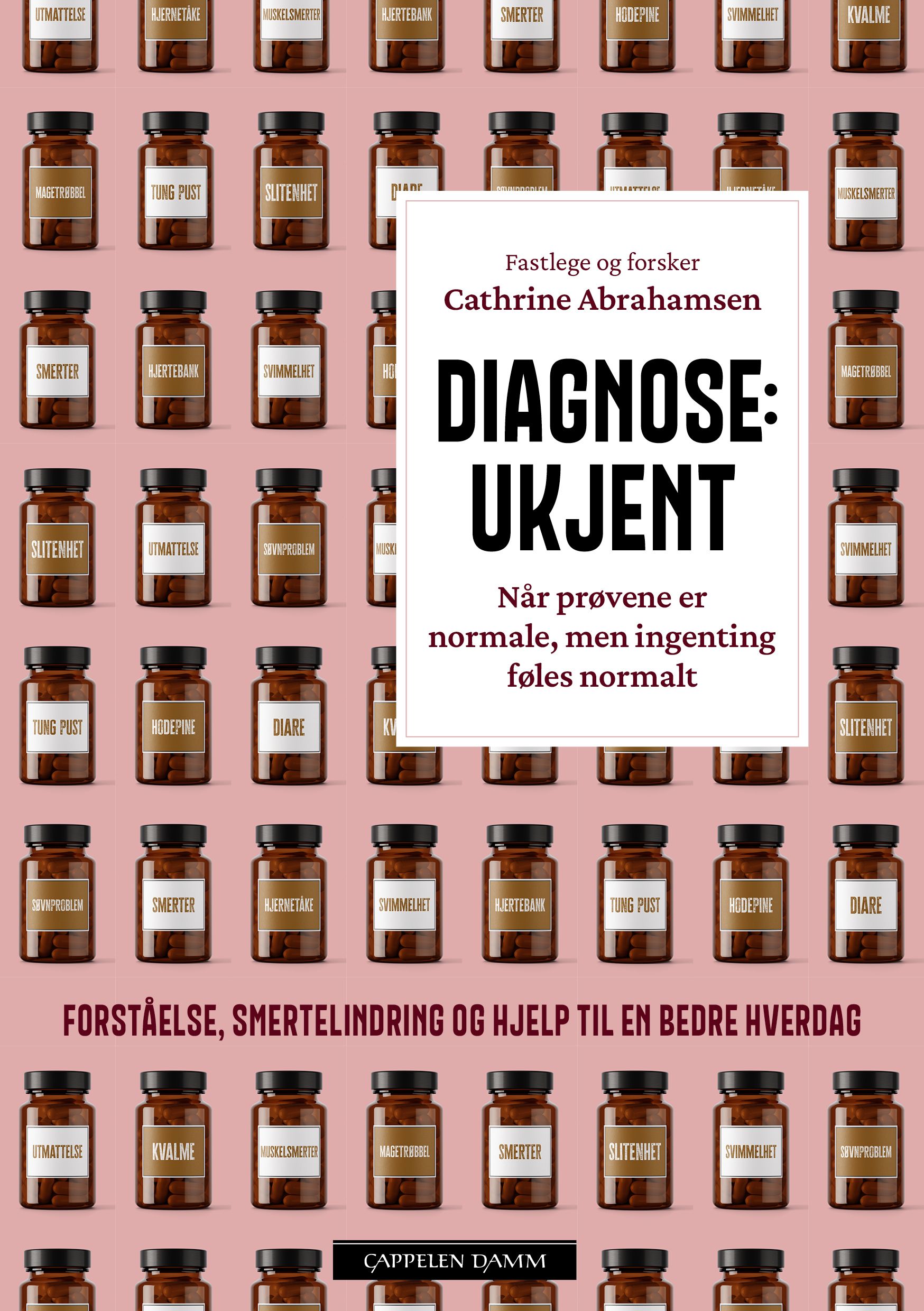 Diagnose: ukjent - når prøvene er normale, men ingenting føles normalt : forståelse, smertelindring og hjelp til en bedre hverdag