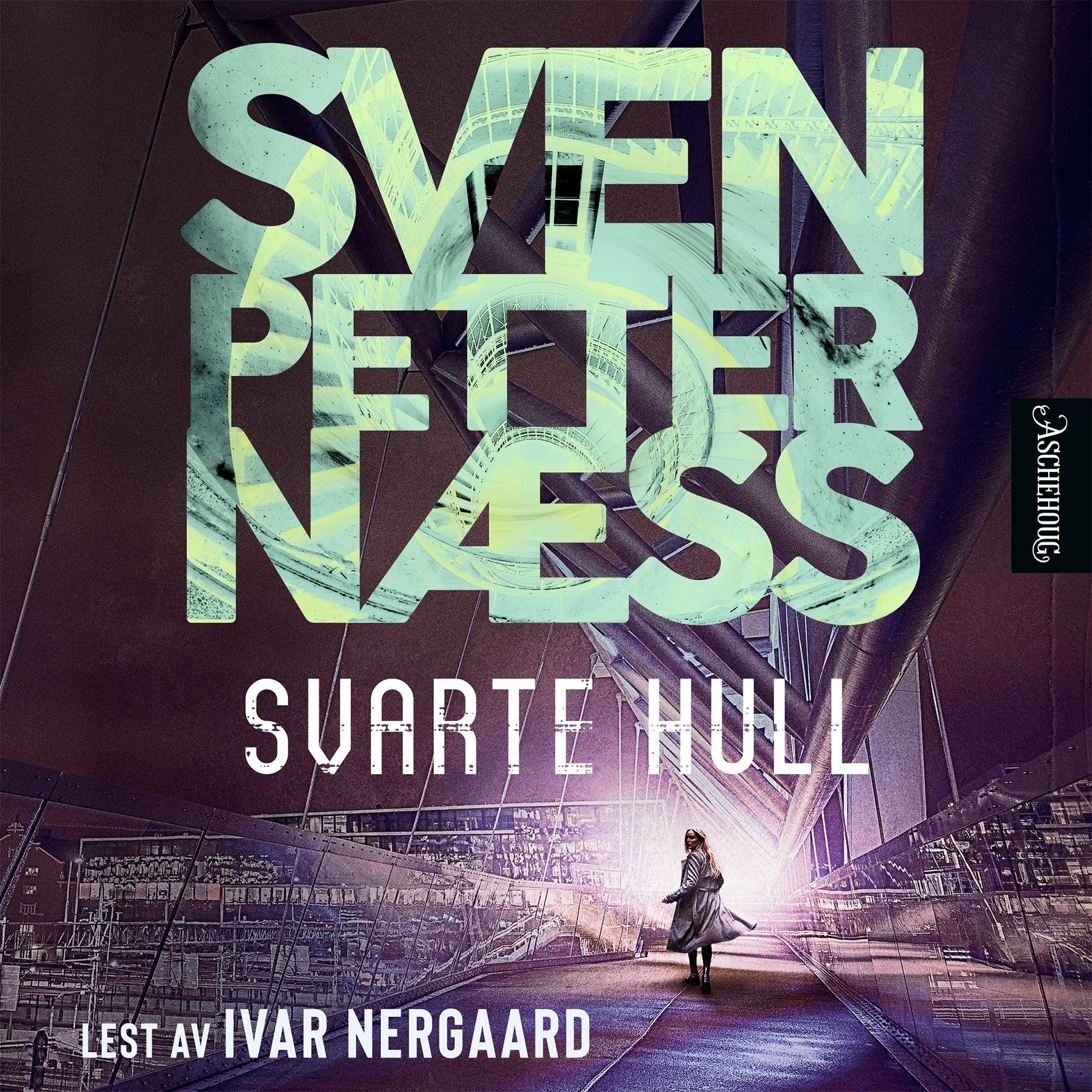 Svarte hull