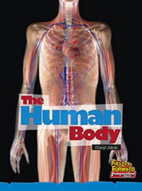 The Human Body