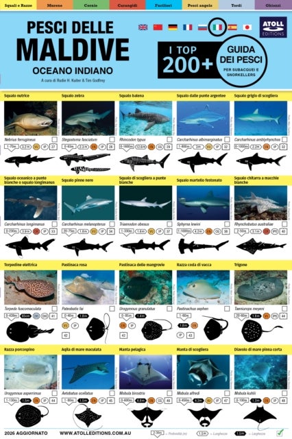 Maldive Guida Dei Pesci - I Top 200+ (Italian)