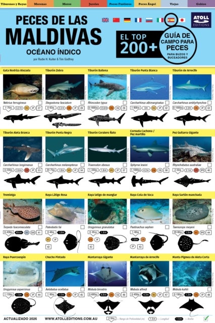 Maldivas Guia De Campo Para Peces - El Top 200+ (Spanish)