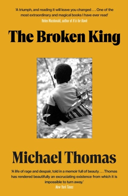 The Broken King