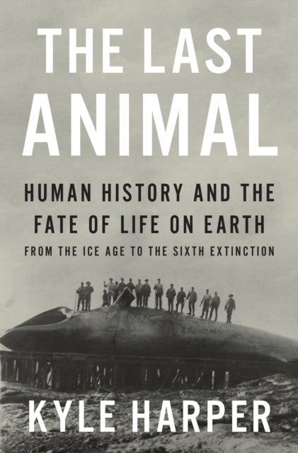 The Last Animal - Human History and the Fate of Life on Earth from the Ice Age to the Sixth Extinction