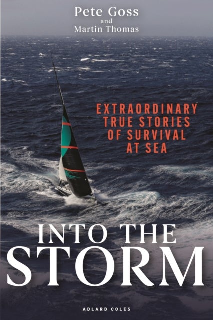Into the Storm - Extraordinary true stories of survival at sea