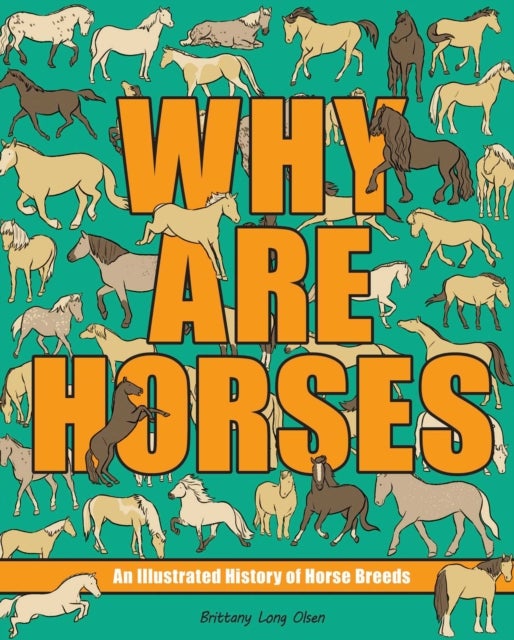 Why Are Horses - An Illustrated History of Horse Breeds