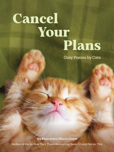Cancel Your Plans - Cozy Poems by Cats
