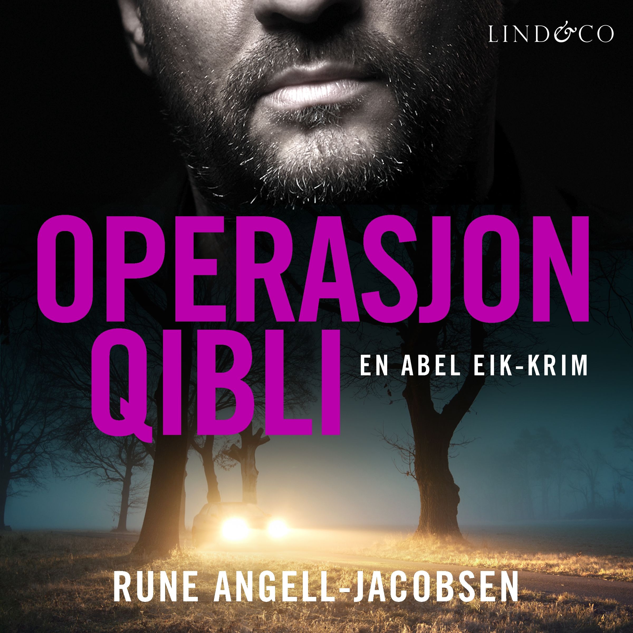 Operasjon Qibli