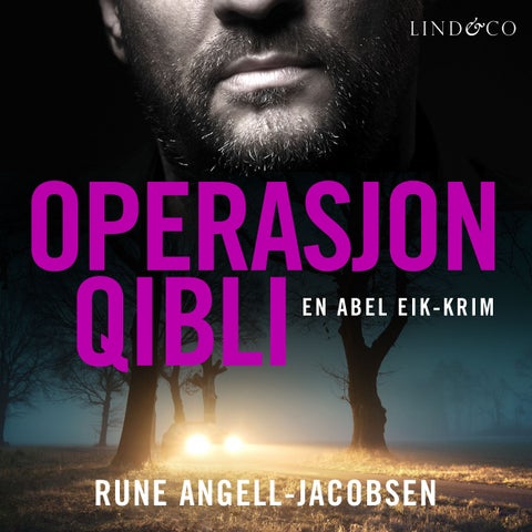 Operasjon Qibli