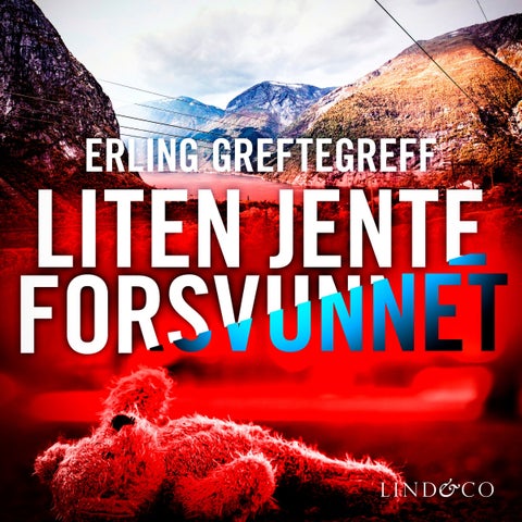 Liten jente forsvunnet - kriminalroman