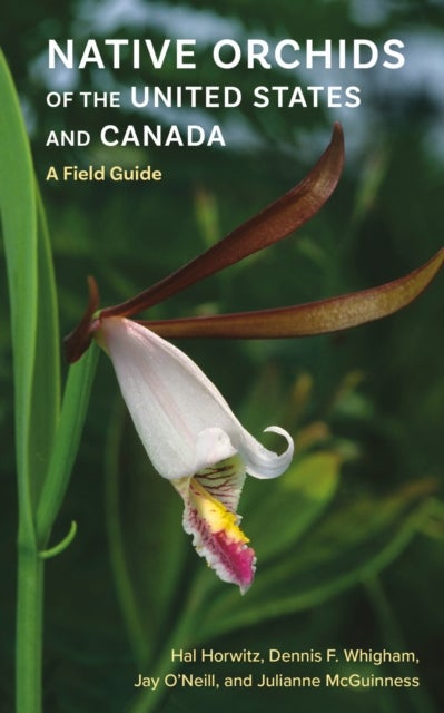 Native Orchids of the United States and Canada - A Field Guide