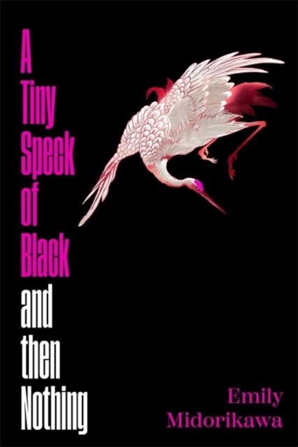 A Tiny Speck of Black and Then Nothing - Winner of the Lucy Cavendish Prize for Fiction
