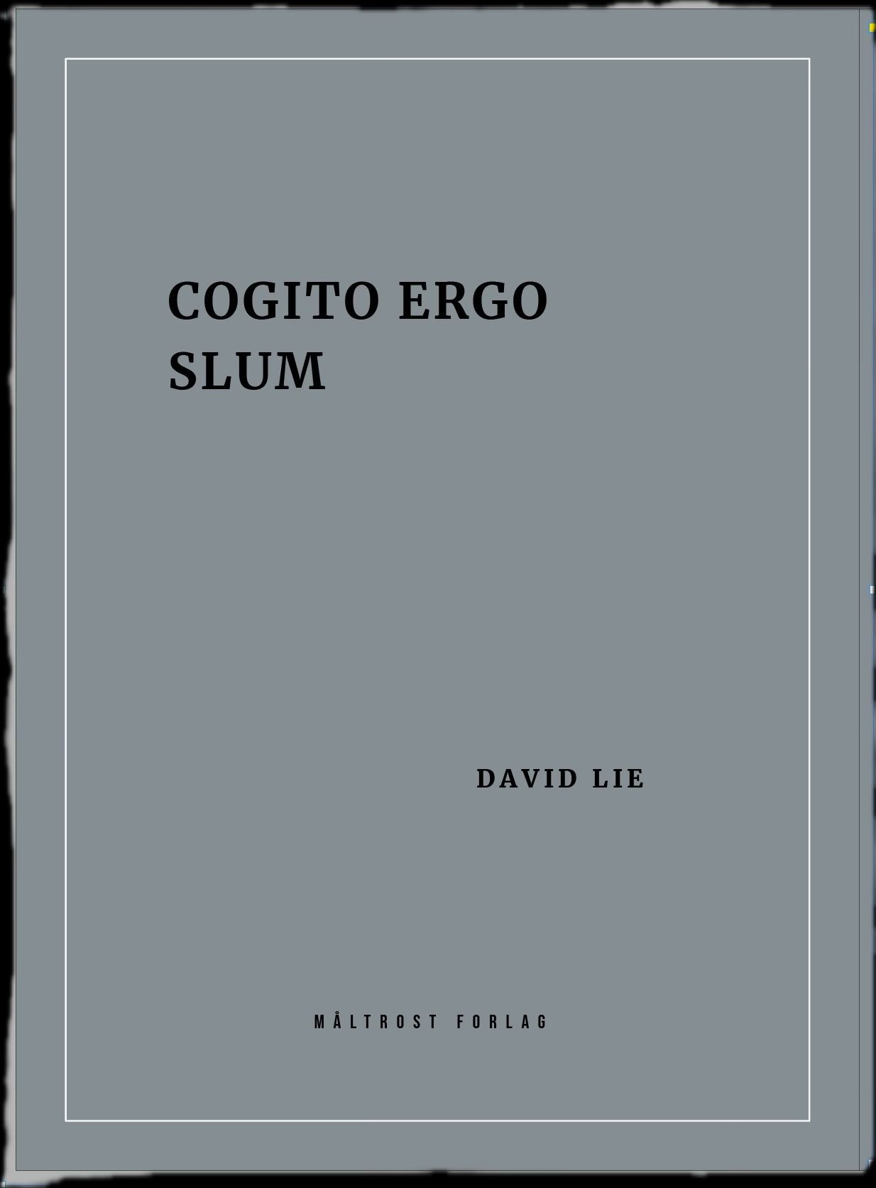 Cogito ergo slum - kortprosa
