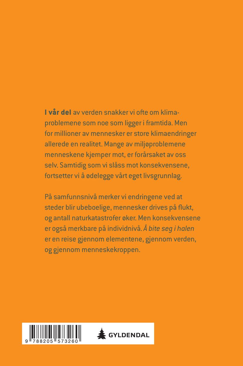 Å bite seg i halen