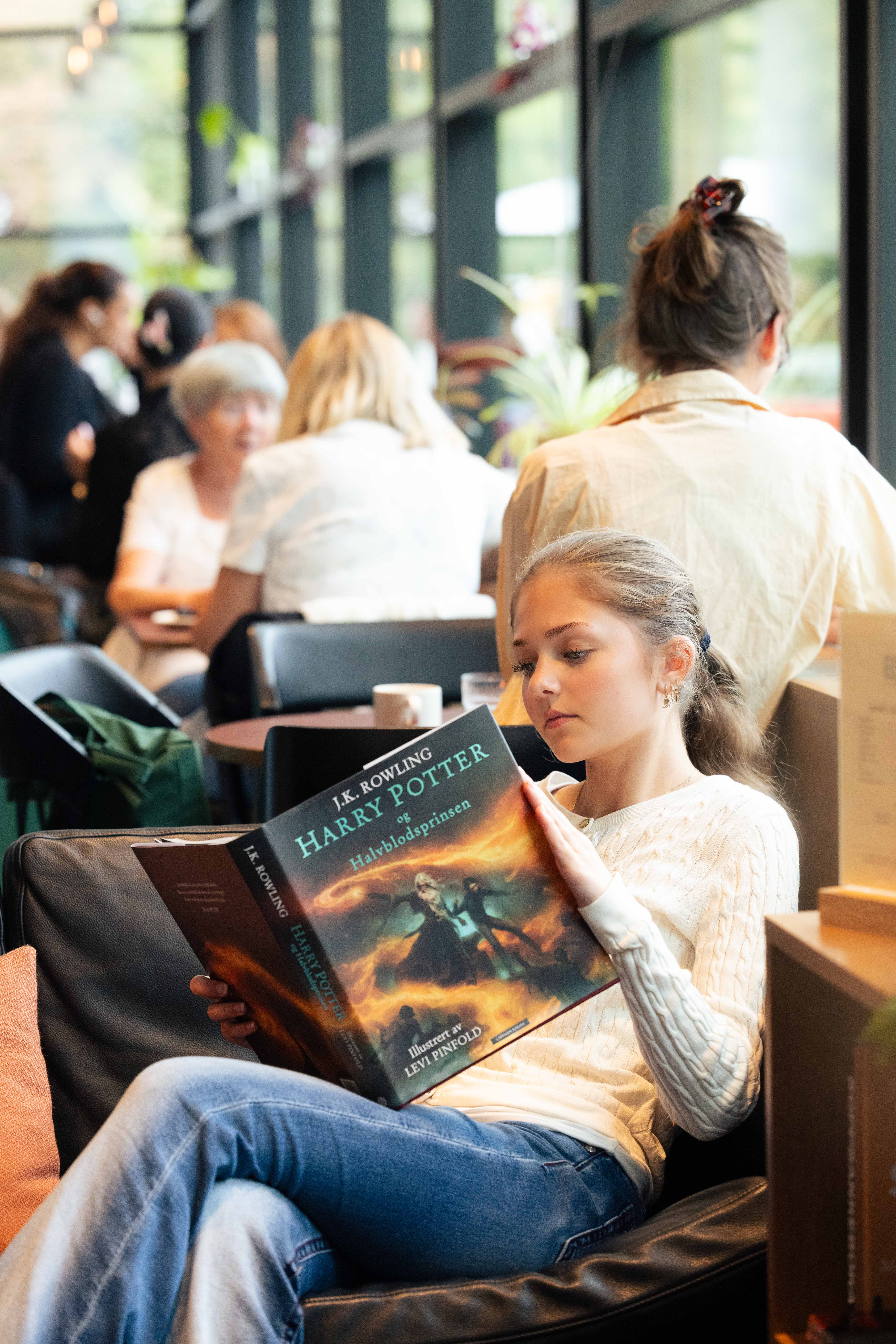 Harry Potter og Halvblodsprinsen