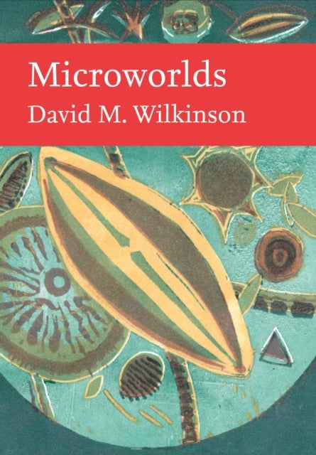 MICROWORLDS_NN LIB151 HB