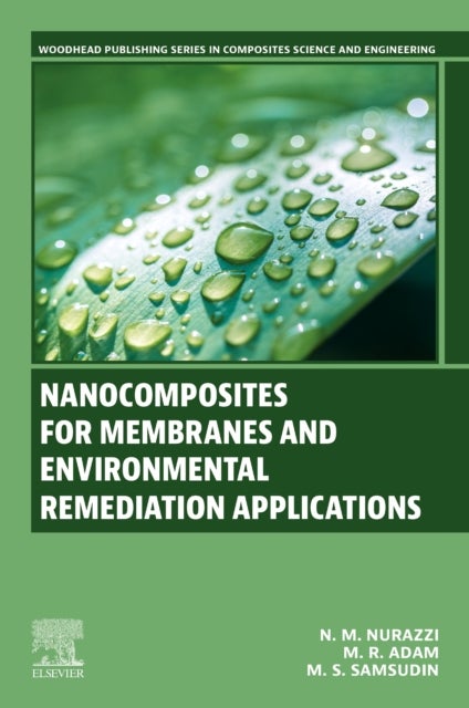 Nanocomposites for Membranes and Environmental Remediation Applications