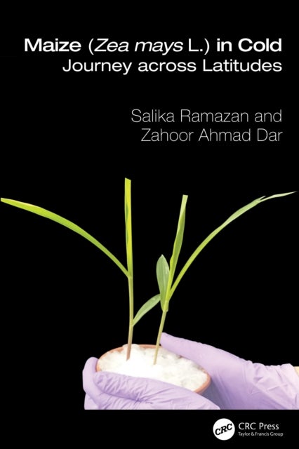 Maize (Zea mays L.) in the Cold - Journey across Latitudes