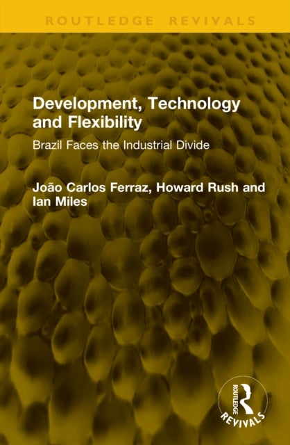 Development, Technology and Flexibility - Brazil Faces the Industrial Divide