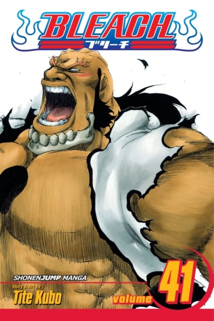 Bleach, Vol. 41 - Heart