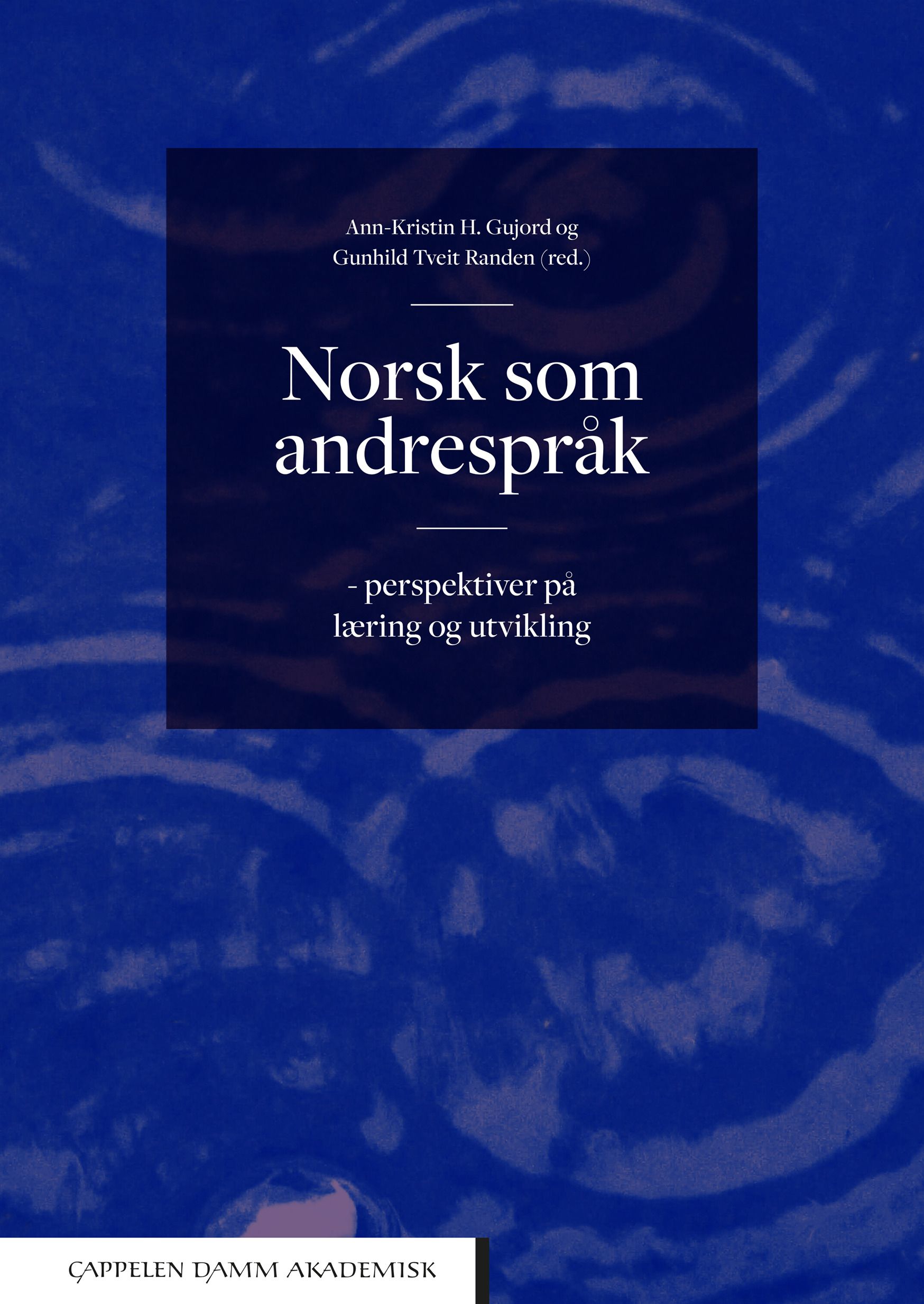 Norsk som andrespråk - perspektiver på læring og utvikling