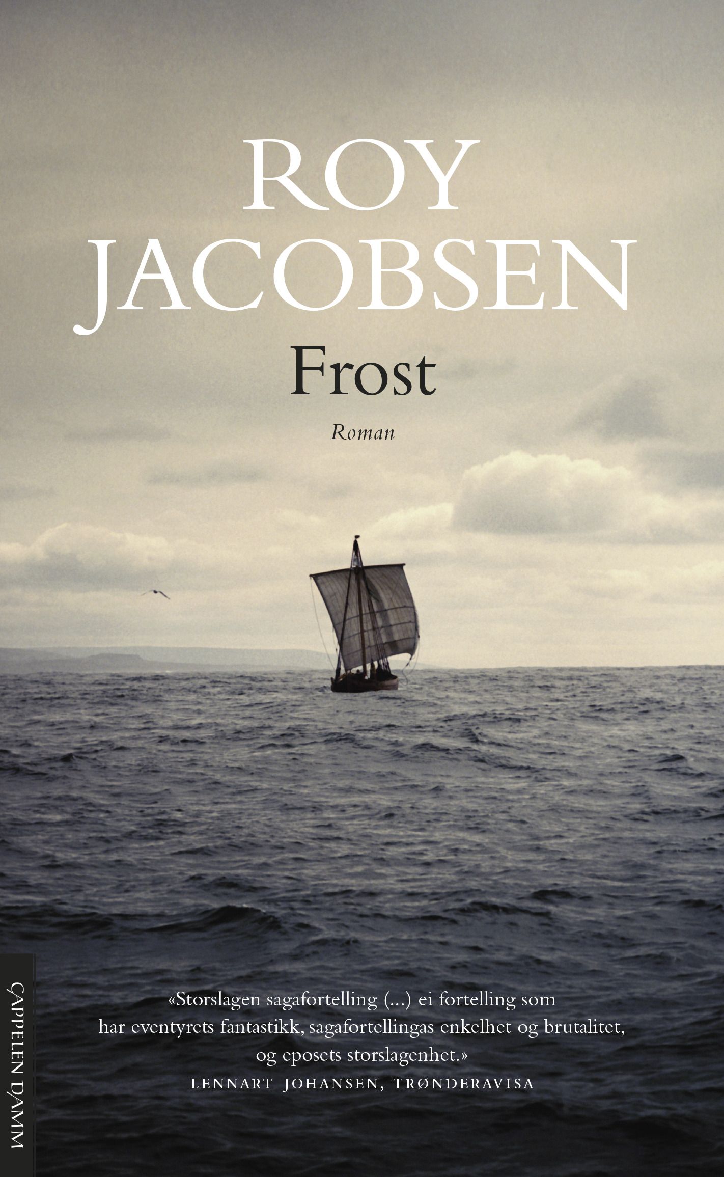Frost - roman