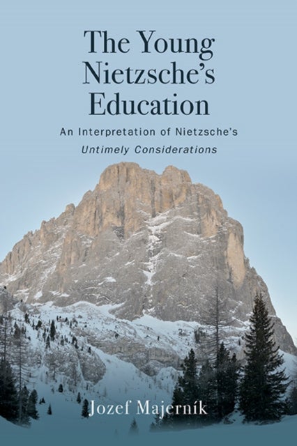The Young Nietzsche?s Education - An Interpretation of Nietzsche's Untimely Considerations
