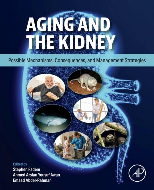 Aging and the Kidney - Mechanisms, Consequences, and Management Strategies