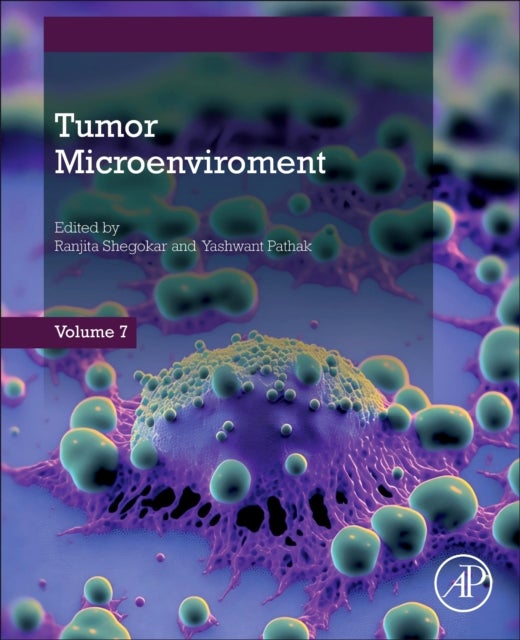 Tumor Microenvironment