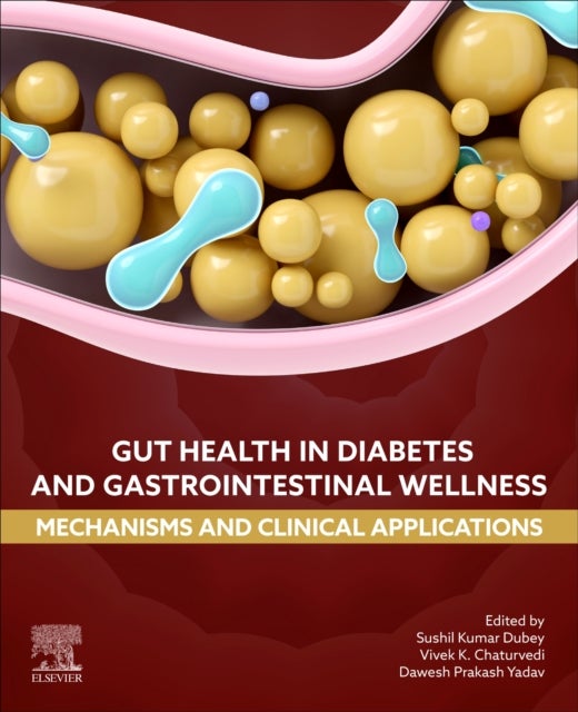Gut Health in Diabetes and Gastrointestinal Wellness - Mechanisms and Clinical Applications