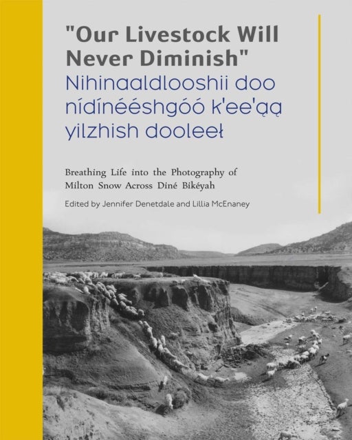 'Our Livestock Will Never Diminish' / 'Nihinaaldlooshii Doo Nidineeshgoo K'ee'aa Yilzhish Dooleel' - Breathing Life Into the Photography of Milton Snow Across Dine Bikeyah