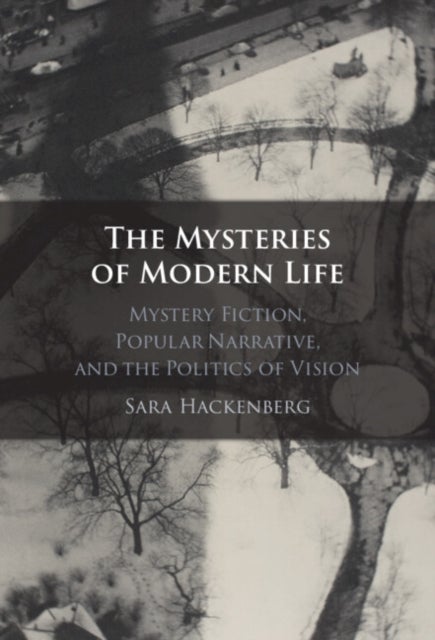 The Mysteries of Modern Life - Mystery Fiction, Popular Narrative, and the Politics of Vision