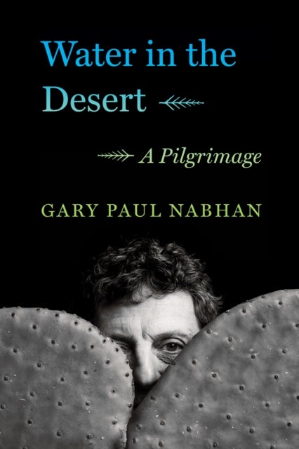 Water in the Desert - A Pilgrimage