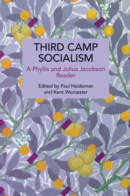 Third Camp Socialism - A Phyllis and Julius Jacobson Reader
