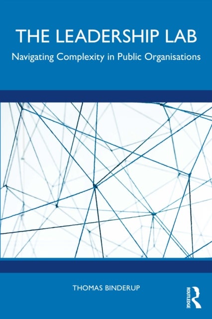 The Leadership Lab - Navigating Complexity in Public Organisations