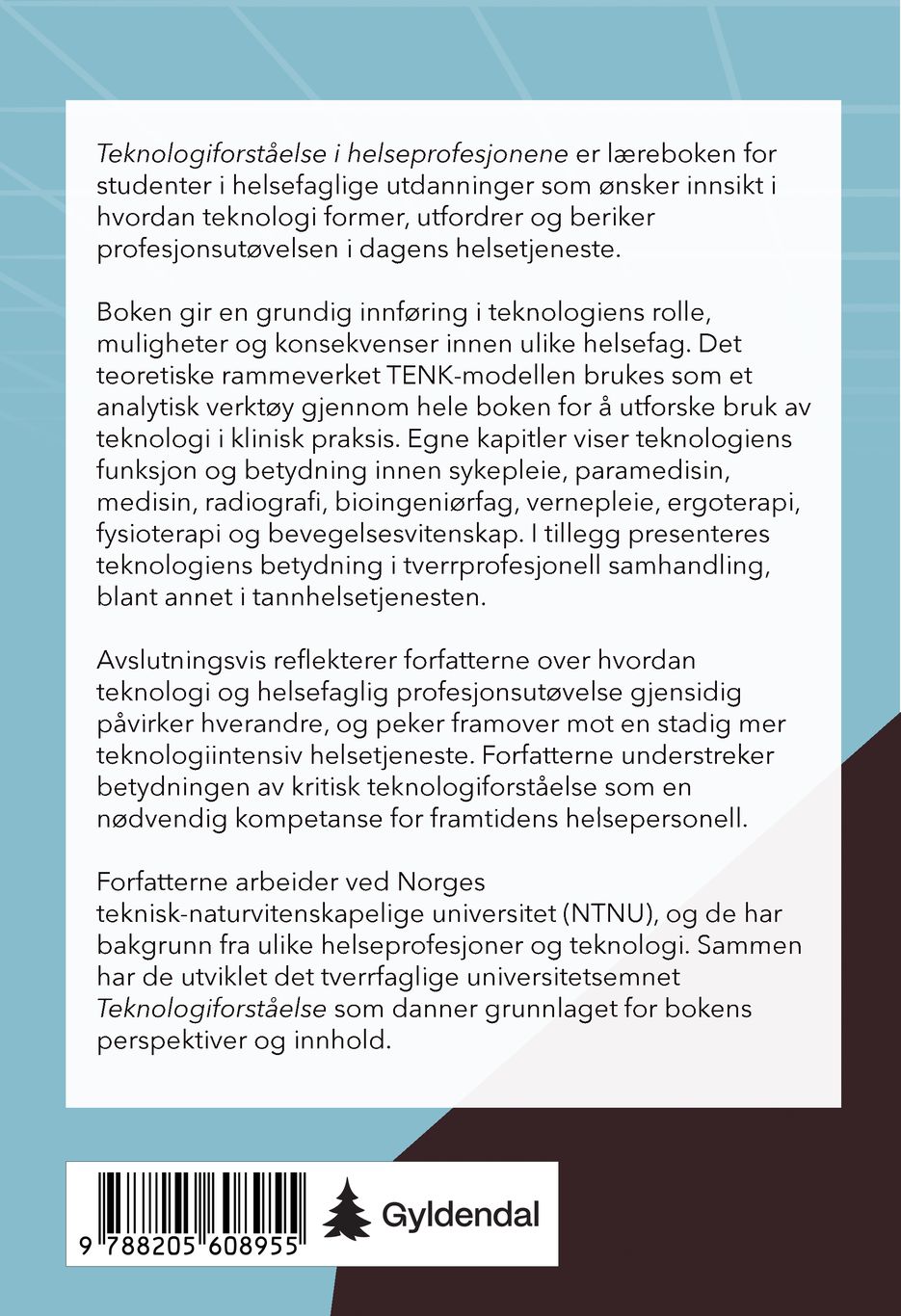 Teknologiforståelse i helseprofesjonene