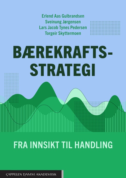 Bærekraftsstrategi - fra innsikt til handling