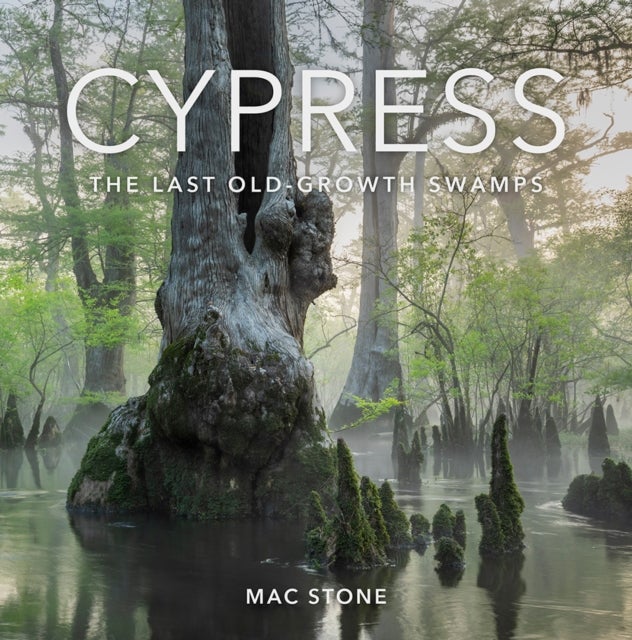 Cypress - The Last Old-Growth Swamps