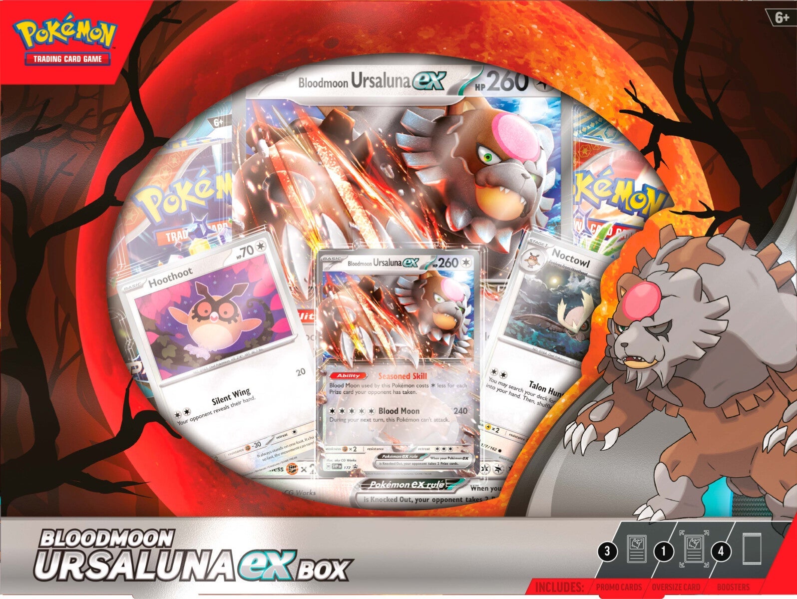 Pokemon Box Ex Nov