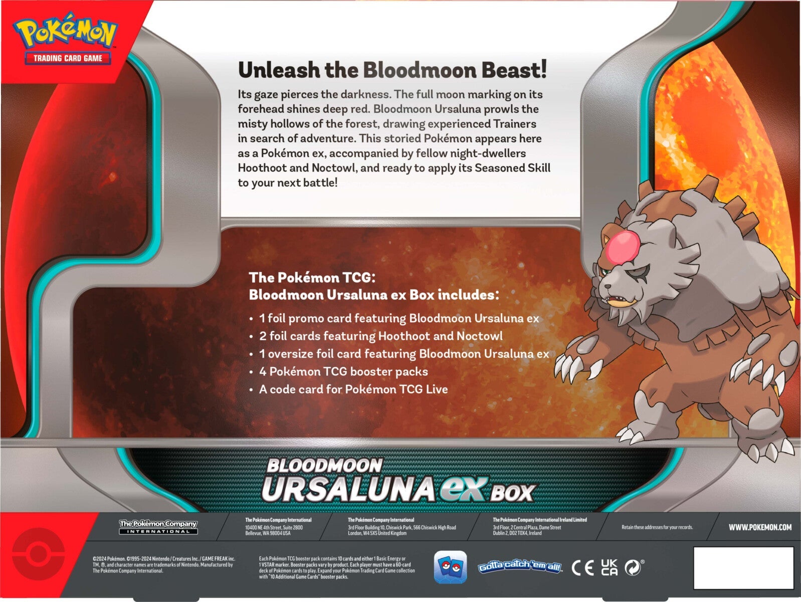 Pokemon Box Ex Nov
